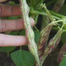 뽑기좋은날 이미지