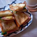 지성태양광발전소 이미지