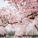 이화몬테소리유치원 이미지