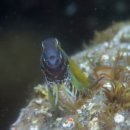 남해-295 이미지