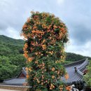 천안셀프세차장 이미지