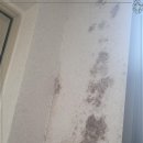 클린케이 이미지