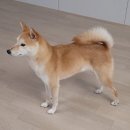 득템(DEUKTEM)