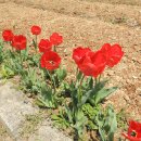 부안상회 이미지