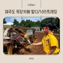 세딸목장 | 제주도 목장카페 밭디 승마,먹이체험 낙타트래킹