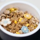 디어포우 이미지