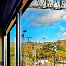 남성현역 정차 중 이미지