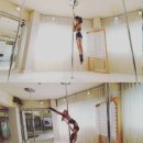 장폴 폴댄스 이미지