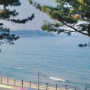 쉼표고성 이미지