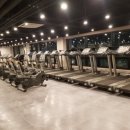 신모라 휘트니스 이미지