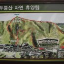 두릉산자연휴양림 이미지