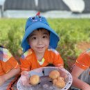 자연아 놀자 이미지