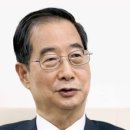 더메디칼 이미지