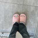 콩이네일 | 의정부 네일샵 '왓츄컬러' 깔끔산뜻한 원컬러 시럽네일 찐리뷰