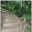 꽃길꽃담나들이 전시회 | [석파정 서울미술관 전시] 석파정 야외 전시 아로새긴 숲길