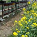 숯골농장 이미지