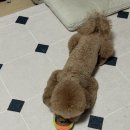 그랜마펫푸드 이미지