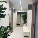 다봄약국 이미지