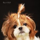은하사진관 네이버블로그