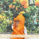 롯데마트 문화센터 겨울학기 &#39;무럭무럭 콩대장&#39; 8개월 아기 수업 후기