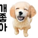 대박게임랜드 이미지
