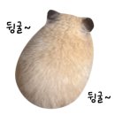 문막 카 클리닉 이미지