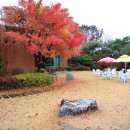 다울펜션 이미지