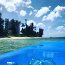 웅진피부명가 | [사이판] 4살 아기와 60대 부모님과 함께 한 여행