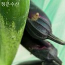 정은수산횟집 이미지