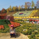 대청호 국화축제 이미지