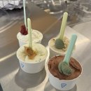 라또래요 | 감자와 쑥 젤라또 무슨맛?! 속초 라또래요 아이스크림 맛집솔직후기