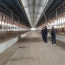 우림축산농장 이미지