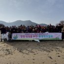 새봄이야 이미지