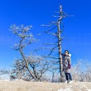 무주세탁전문점 이미지