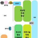 밀양 계곡 평상 추천_도깨비 유원지 후기!