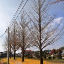 가음초등학교 이미지