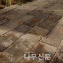 이디씨라이프(주)