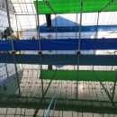 선어대낚시터 이미지