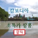 한국여행사[몬딱글로벌투어]인터넷전화 번호 064 723 7771 이미지