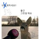 세븐일레븐 수원삼성센트럴파크점 | 축구선수가 왜 안뛰어요? 수원삼성 vs 부산 그리고 덕질의삶