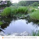 그릇나라전시장 이미지