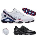 알파 소프트 이미지