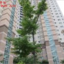 포항시남구15 이미지