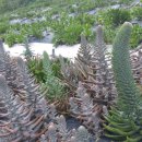 마을농장 이미지