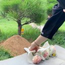 이대목동병원장례식장 주차 안내와 가족장 절차 안내로 진행된