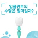 임종득치과의원 네이버블로그