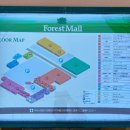 포레스트몰 | 일본 캠핑용품점 후지산 포레스트몰 스탠다드포인트방문후기