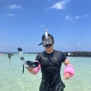 월정뷰게스트하우스코난비치대여점 이미지