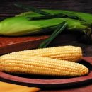 장미로92번길 이미지