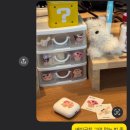 한남 권투 | 나라는 존재가 커져버렸다